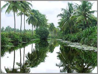 kerala backwaters